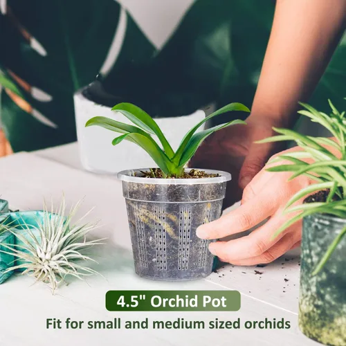 Vista 2 de Maceta de orquídeas, 6 paquetes de macetas de orquídeas de 4.3 pulgadas con agujeros, macetas de orquídeas para trasplantar, maceta de plástico