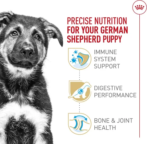 Vista 4 de Royal Canin Breed Health Nutrition - Alimento seco para perros pastor alemán, 2.5 libras
