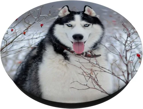 Vista 2 de Husky Breed – Bonito malamute de Alaskan, ojo azul de Siberian Husky – PopSockets Grip y soporte para teléfonos y tabletas