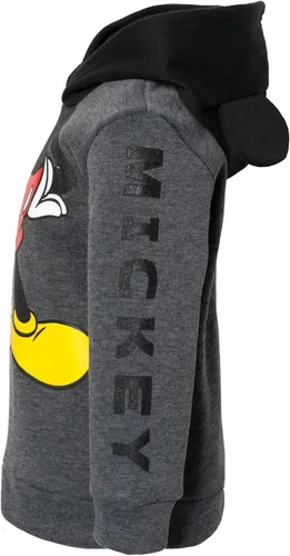 Vista 4 de Disney Mickey Mouse Winnie the Pooh Tigger - Sudadera con capucha de forro polar para cosplay de bebé a niño grande