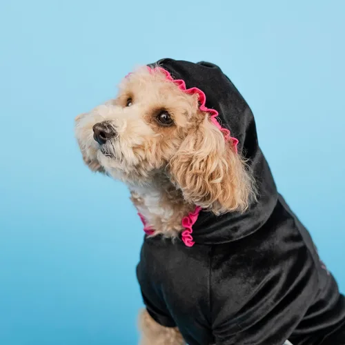 Vista 5 de Doggy Parton Traje deportivo Sparkle Butterfly - M