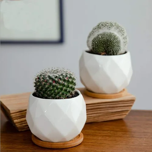 Vista 8 de Jucoan Paquete de 6 macetas de cerámica para suculentas con bandeja de bambú, 4 pulgadas, pequeñas flores de cactus blanco en forma de diamante