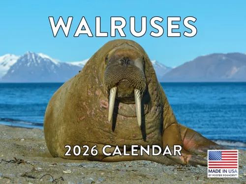 Vista 28 de Calendario de cocodrilo 2025 mensual de pared de 12 meses