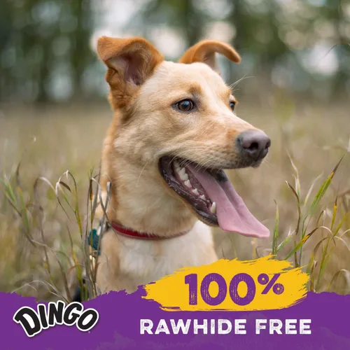 Vista 5 de Dingo Porkie Rolls 15 unidades, masticables de piel de cerdo para perros, hechos con pollo real Long-Lasting Pork Hide With Real Chicken Provides