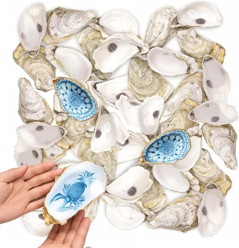 Vista 10 de 36 conchas de ostras naturales grandes de 4 a 5 pulgadas, conchas de ostras a granel para manualidades, decoración del hogar, rellenos de jarrones