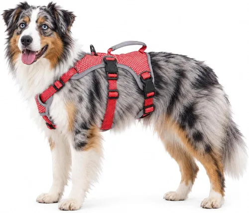 Vista 22 de Huntboo - Arnés para perro a prueba de escape, arnés reflectante con asa, duradero, chaleco ajustable para perros pequeños, medianos y grandes