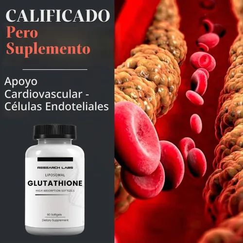Vista 7 de Research Labs Suplemento de glutatión liposomal con Gluta-IV™, absorción mejorada 100x sobre glutatión en polvo. 2 Fer 1 anuncio, 120 cápsulas