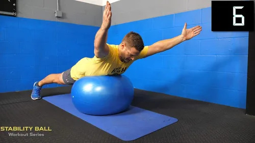 Vista 6 de CRITICAL BENCH.COM El DVD de la serie de entrenamiento de pelota de estabilidad sin tensión en la espalda mejora la postura, la fuerza
