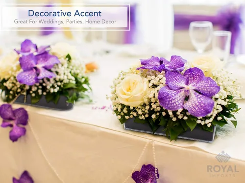 Vista 6 de Royal Imports Florero rectangular de acrílico, centro de mesa, maceta para suculentas para el hogar o boda, plástico irrompible, cuadrado bajo de 4