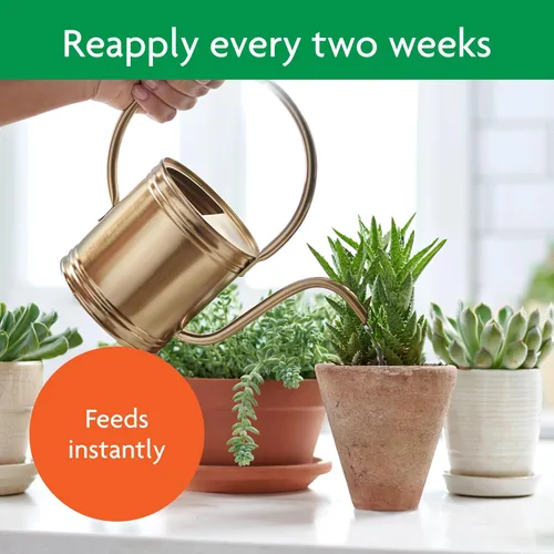 Vista 7 de Miracle-Gro Alimento para plantas suculentas, 8 onzas, para suculentas incluyendo cactus, jade y aloe