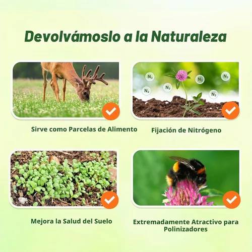 Vista 5 de Outsidepride - Semilla de leguminosa de trébol rojo para pasto, heno y mejora del suelo, 1/4 lb