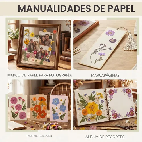 Vista 5 de LUXEEASE 80P Flores secas prensadas multicolor vibrantes Flores Tonificadas Cálidas 80p