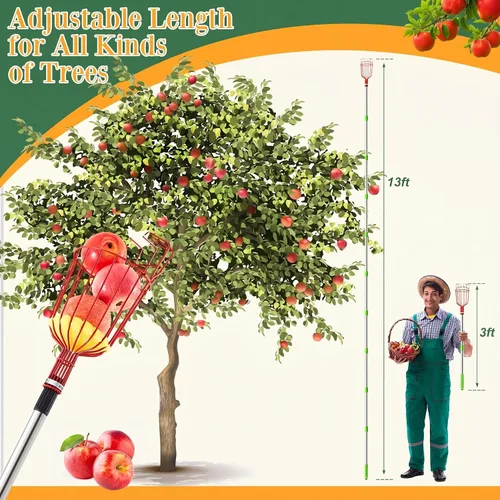 Vista 3 de Poste recogedor de frutas de 13 pies con canasta, herramienta Rojo