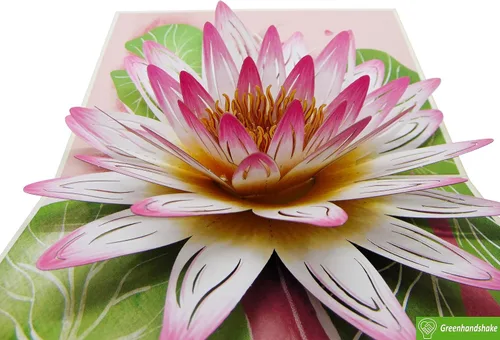 Vista 6 de Water Lily Quillipop - Tarjeta de felicitación 3D emergente hecha a mano, tarjeta de felicitación única hecha a mano para cumpleaños, día de San