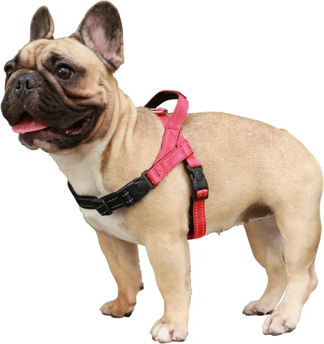 Vista 27 de iChoue Arnés para bulldog francés, ajustable, acolchado, hebilla bloqueada con asa para perros carlino francés, Boston Terrier inglés, azul, talla S