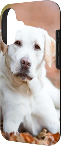 Vista 2 de Labrador Retriever Dog Lover - Carcasa para iPhone 17