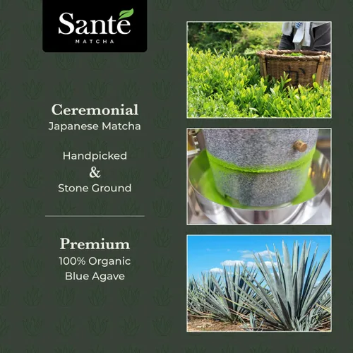 Vista 7 de Santé Matcha: Sweet Matcha – Matcha japonés de grado ceremonial + polvo de agave orgánico – de la región de la prefectura de Aichi y primera cosecha