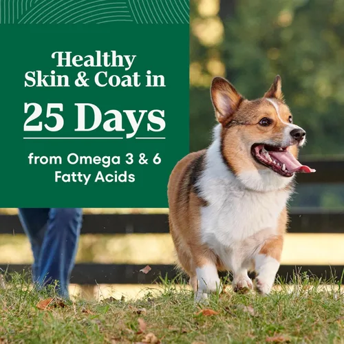 Vista 3 de Nutro Natural Choice Small Bites - Alimento seco para perros, pollo y arroz, 30 libras