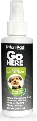 Vista 7 de BrilliantPad TidyShot - Spray eliminador de manchas y olores para mascotas