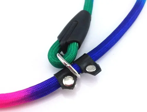 Vista 4 de yueton Correa de nailon para perros Rainbow Pet Cuerda de plomo ajustable