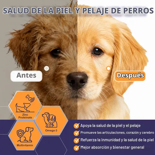 Vista 5 de NATURE TARGET Probióticos para perros, 6 mil millones de probióticos para perros con prebióticos y enzimas para la salud digestiva e intestinal