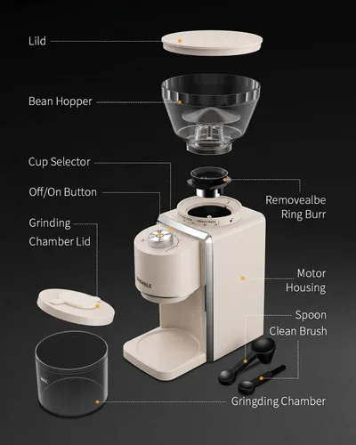 Vista 7 de KIDISLE Molinillo de café cónico 2.0, molinillo eléctrico de granos de café para molienda precisa, 35 ajustes, selector de 2 a 12 tazas, diseño Beige