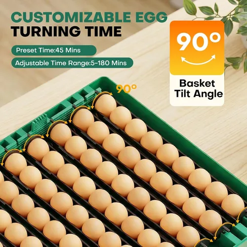 Vista 12 de Incubadora para incubación de 72 huevos para pollo/pato/codorniz