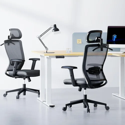Vista 2 de FLEXISPOT Silla de oficina ergonómica clásica con respaldo alto, silla giratoria para computadora, sillas de escritorio ejecutivas, con soporte Gris