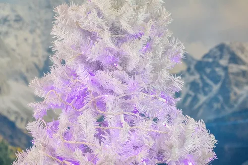 Vista 5 de Novelty Lights Guirnalda de luces navideñas de 11 pies, 50 bombillas LED moradas en cable blanco, espacio de 2.5 pulgadas, iluminación conectable