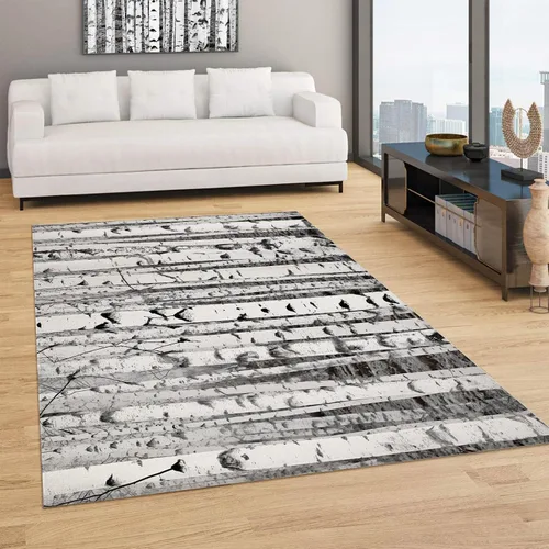 Vista 2 de Rugs - Alfombra mullida para sala de estar, 23.6 x 35.4 in, con textura de tronco de abedul, para dormitorio, lavable a máquina, alfombra gruesa