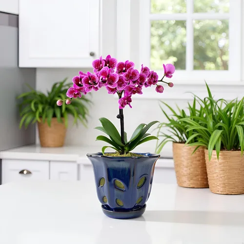 Vista 9 de Ceramic Orchid Pots with Holes 6 inch (Dark Blue)