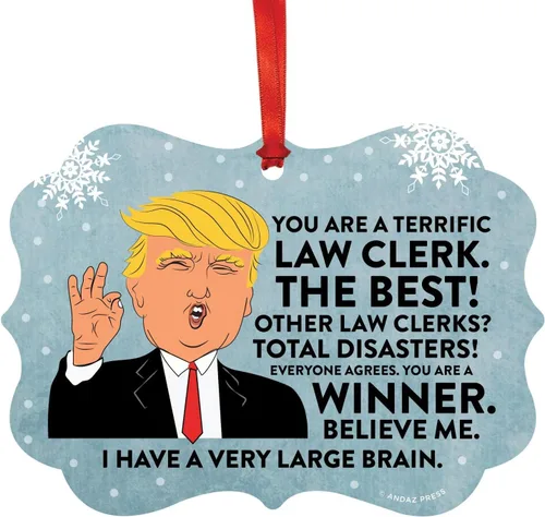 Vista 24 de Andaz Press Presidente Donald Trump Fancy Frame Recuerdo Adorno de Navidad Regalo de broma, excelente contador, 1 paquete, divertidas ideas