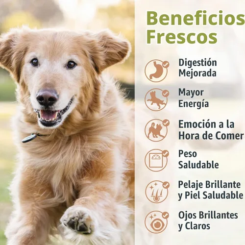 Vista 6 de JustFoodForDogs Mezcla de nutrientes DIY para comida casera para perros, carne de res y papa russet, 4.55 onzas