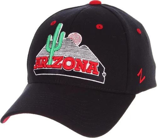 Vista 11 de ZHATS NCAA Vault - Sombrero elástico ajustado para hombre