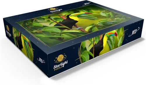 Vista 3 de MyPuzzle Costa Rica Wildlife - Tucán sentado en la rama en el bosque - Rompecabezas premium de 100 piezas para adultos