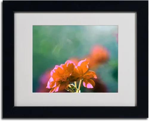 Vista 2 de Trademark Fine Art Patty Tuggle - Arte enmarcado mate con diseño de flores y sol en marco negro, 11 x 14 pulgadas