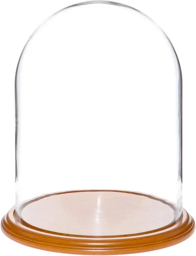 Vista 5 de Plymor 11.75" x 15" Pantalla de cristal Cúpula Cloche (base de chapa de madera negra)