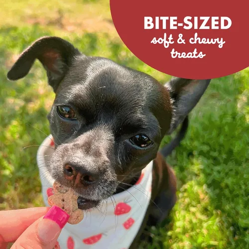 Vista 14 de Buddy Biscuit Softies - Bolsa de 5 onzas, sin granos, suave y masticable, golosinas naturales con sabor a carne a la parrilla para perros, horneadas