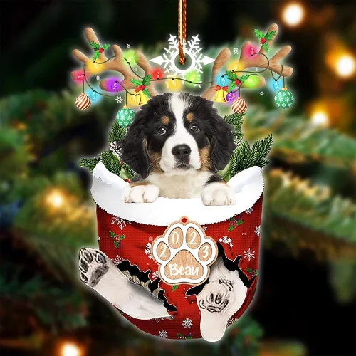 Vista 116 de NAZENTI Adorno Navideño de Bolsillo Personalizado de Affenpinscher en la Nieve, Adorno de Forma Acrílica de Perro, Adorno de Navidad 2023, Adorno