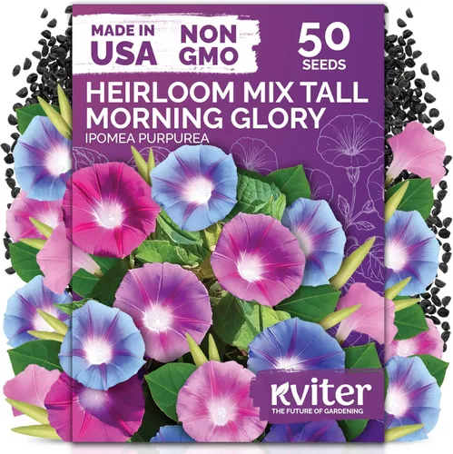 Vista 18 de KVITER 15,000 semillas de rosa musgo mixta para plantar (Portulaca grandiflora) – Cubierta de suelo con floración de reliquia, semilla de Portulaca