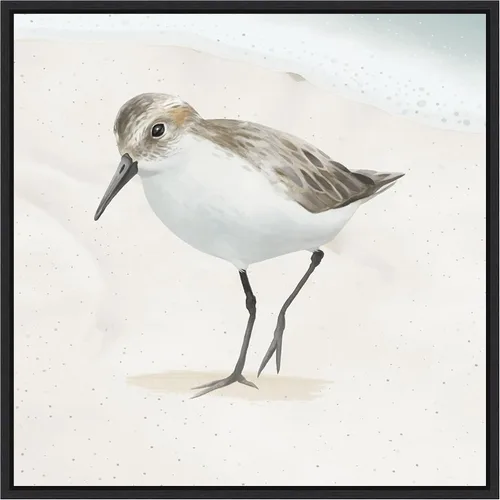 Vista 8 de Amanti Art Framed Canvas Wall Art 16x16 Sandpiper on the Beach II by Lucca Sheppard, Framed Wall Art Canvas, Animals Artwork, Modern Decor, Small