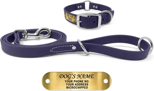 Vista 23 de Regal Dog Products Collar de Perro Naranja Mediano con Placa de Nombre Grabada Personalizada - Ajuste Personalizado, Resistente, Fácil de Limpiar
