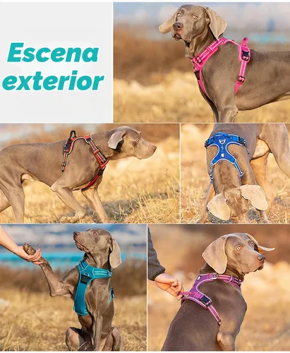 Vista 6 de TRUE LOVE Arnés de perro sin tirones de nylon reflectante, arnés para mascotas ajustable, control cómodo, colores brillantes, paso fácil Truelove