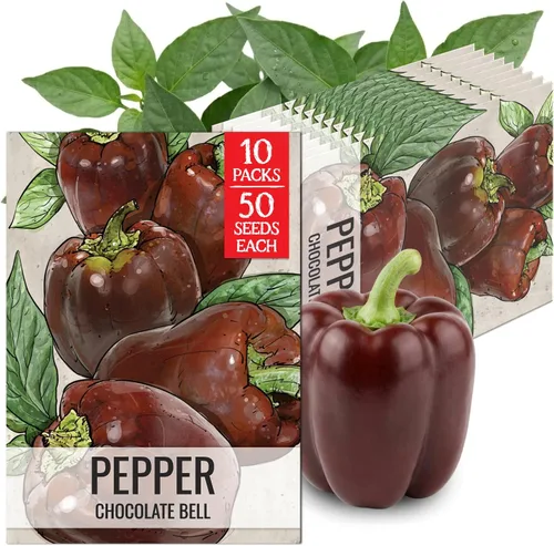 Vista 58 de Seed Needs - Semillas de pimiento arcoíris para plantar verduras, 1 paquete