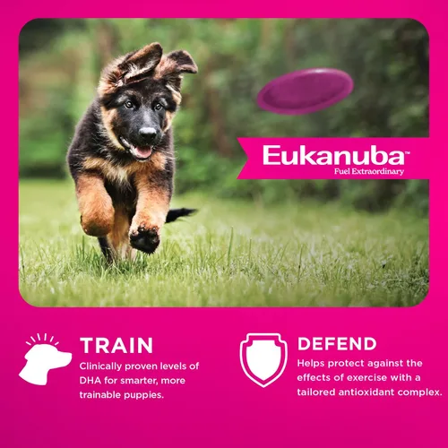 Vista 6 de Eukanuba Premium Performance Puppy PRO - Alimento seco para perros, bolsa de 4 libras