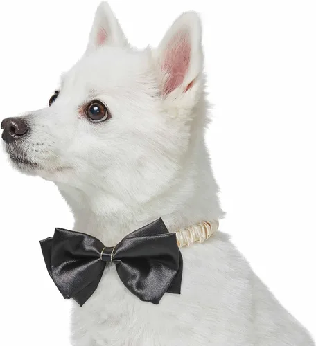 Vista 7 de Blueberry Pet Collar de perro ajustable My Little Princess 2022 con malla bordada y pajarita, azul bebé, talla XS