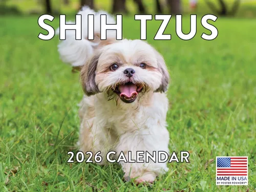 Vista 205 de Calendario mensual de pared Airedale Terrier Dog 2027 rojo (Airedale Terrier)