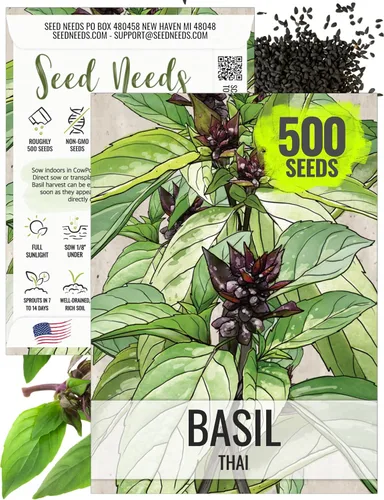 Vista 39 de Seed Needs Semillas de albahaca italiana para plantar hierbas tradicionales sin OMG, 1 paquete