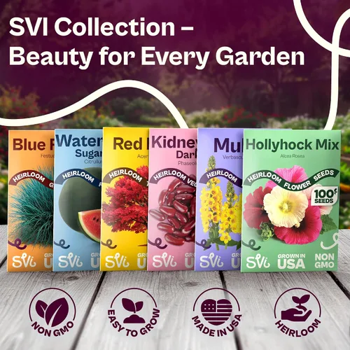 Vista 7 de SVI 35 Mezcla Mini Calabaza Heirloom Otoño Semillas Vegetales Cucurbita