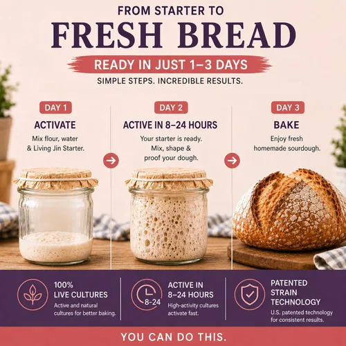 Vista 3 de Cultivo básico de masa madre (1 paquete), cultivo básico de masa madre sin gluten, listo para usar, iniciador de masa agria con alimentación única